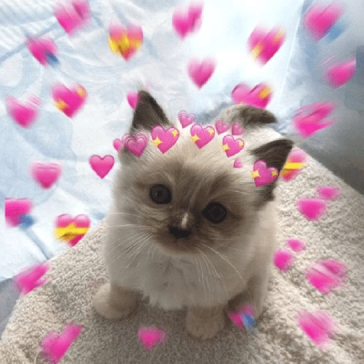 Figurinha de ππAmor para ti 9 ππ (7 de 24)