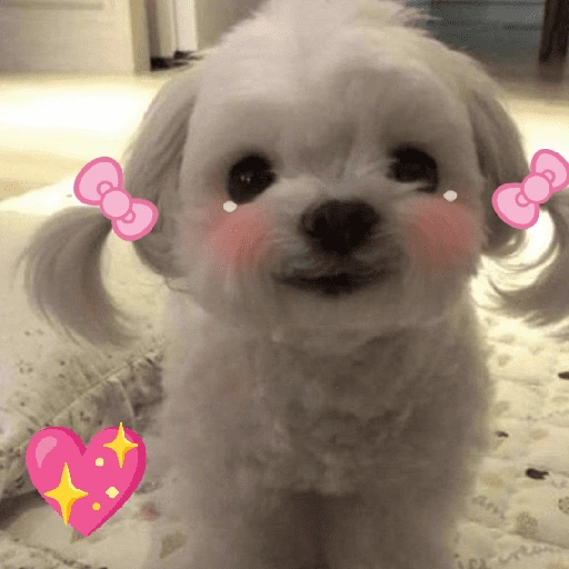 Figurinha de ππAmor para ti 9 ππ (8 de 24)