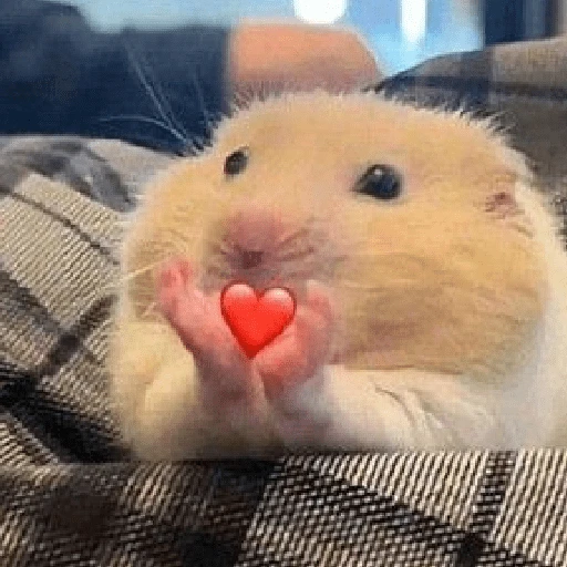 Figurinha de ππAmor para ti 9 ππ (12 de 24)