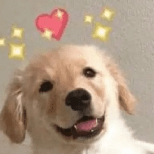 Figurinha de ππAmor para ti 9 ππ (16 de 24)
