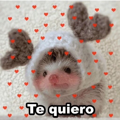 Figurinha de ππAmor para ti 9 ππ (21 de 24)