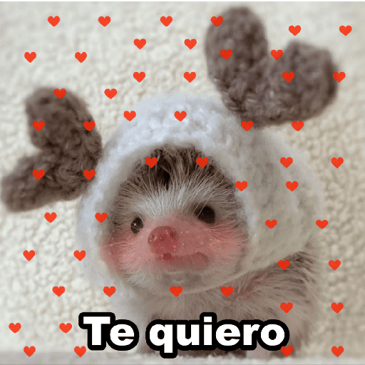 Figurinhas de 💞💓Amor para ti 9 💗💞 para WhatsApp
