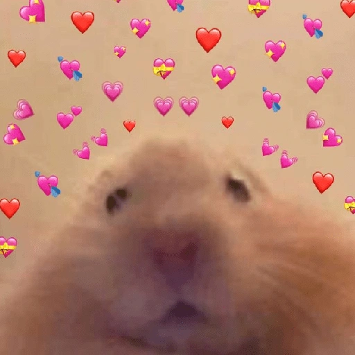 Figurinha de Amor para todos❤️✨ para WhatsApp (3 de 15)