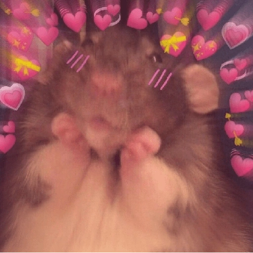 Figurinha de Amor para todos❤️✨ para WhatsApp (4 de 15)