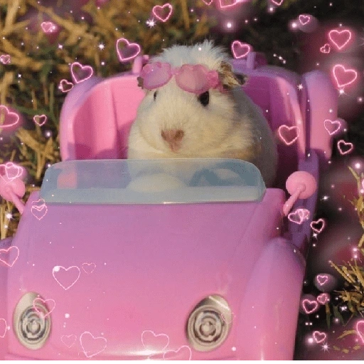 Figurinha de Amor para todos❤️✨ para WhatsApp (5 de 15)