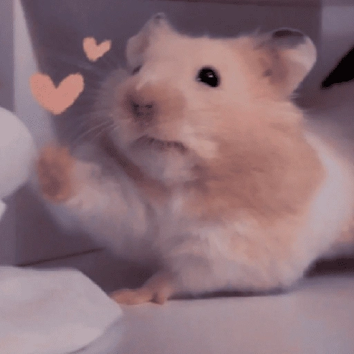 Figurinha de Amor para todos❤️✨ para WhatsApp (7 de 15)
