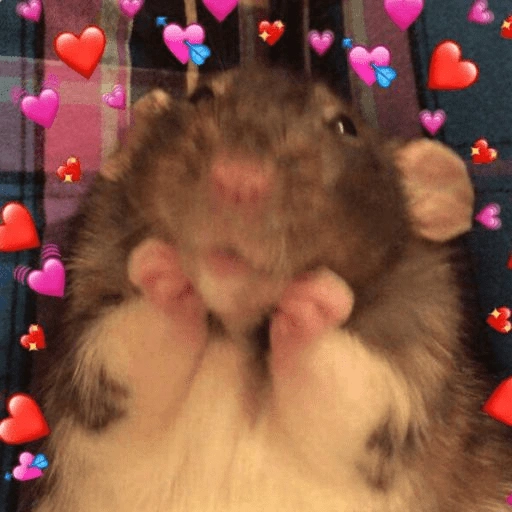 Figurinha de Amor para todos❤️✨ para WhatsApp (8 de 15)