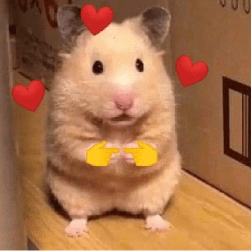 Figurinha de Amor para todos❤️✨ para WhatsApp (9 de 15)