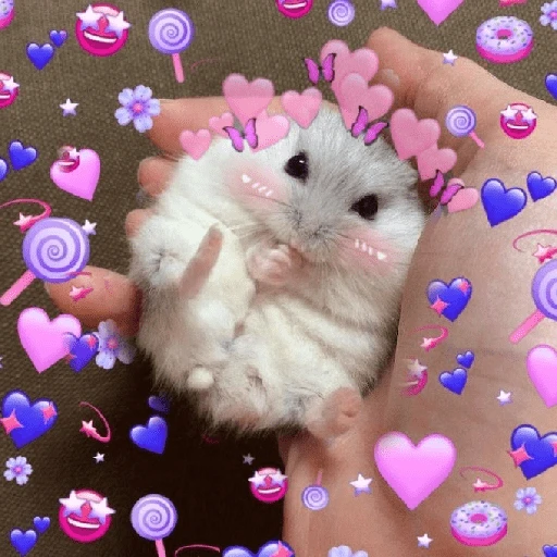 Figurinha de Amor para todos❤️✨ para WhatsApp (11 de 15)