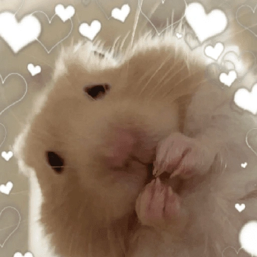 Figurinha de Amor para todos❤️✨ para WhatsApp (13 de 15)