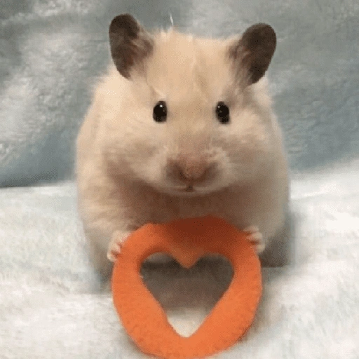 Figurinha de Amor para todos❤️✨ para WhatsApp (14 de 15)