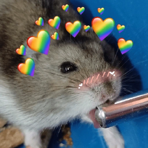 Figurinha de Amor para todos❤️✨ para WhatsApp (15 de 15)