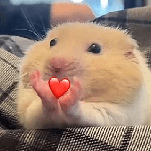 Figurinhas de Amor para todos❤️✨ para WhatsApp