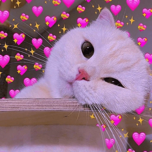 Figurinha de Amor te amo para WhatsApp (5 de 18)