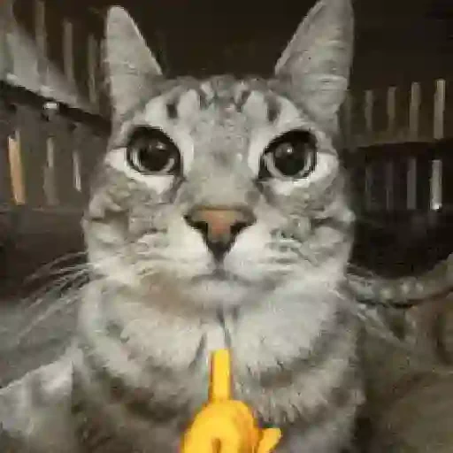 Figurinha de Animadas | Tiktok (12 de 16)