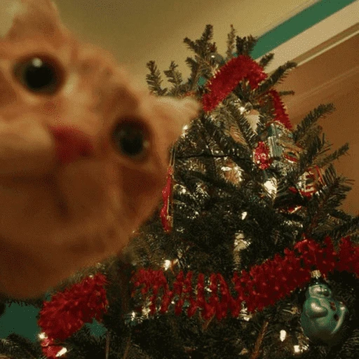 Figurinha de Animais de Natal 2🎄 para WhatsApp (5 de 28)