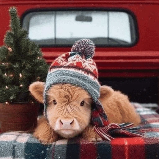 Figurinha de Animais de Natal 2🎄 para WhatsApp (12 de 28)