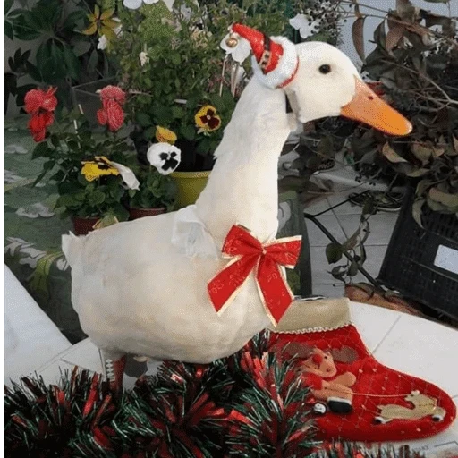 Figurinha de Animais de Natal 2🎄 para WhatsApp (20 de 28)