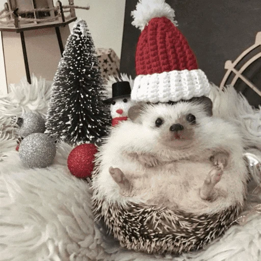 Figurinha de Animais de Natal 2🎄 para WhatsApp (21 de 28)