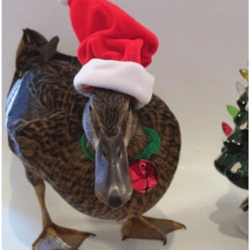 Figurinha de Animais de Natal 2🎄 para WhatsApp (22 de 28)