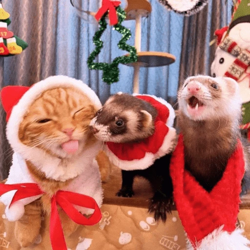 Figurinha de Animais de Natal 2🎄 para WhatsApp (25 de 28)