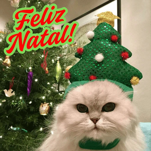 Figurinha de Animais de Natal 2🎄 para WhatsApp (28 de 28)