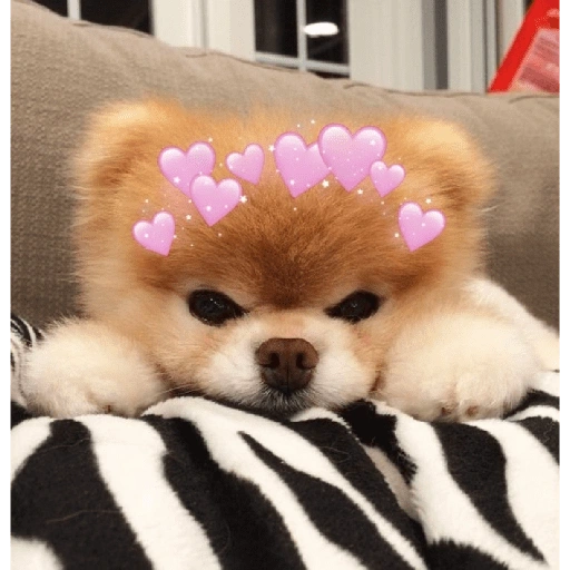 Figurinha de Animais fofos (1 de 15)