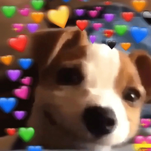 Figurinha de Animais fofos (3 de 15)