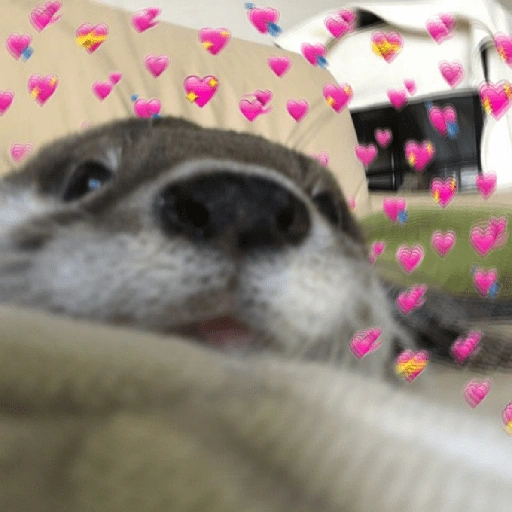 Figurinha de Animais fofos (9 de 15)