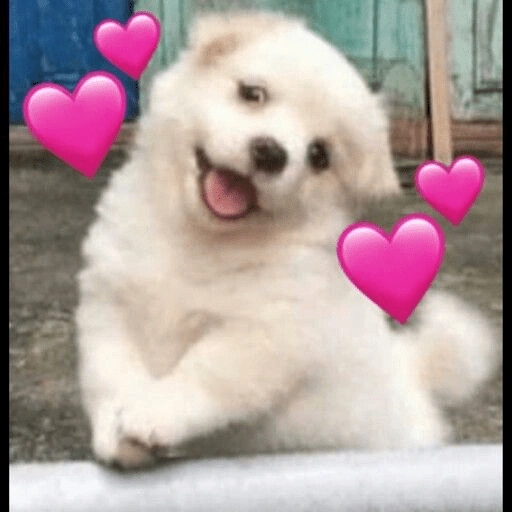 Figurinha de Animais fofos (12 de 15)