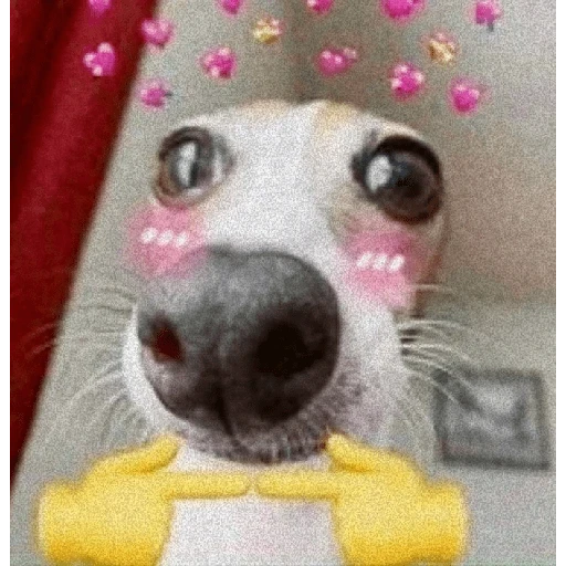 Figurinha de Animais fofos (13 de 15)