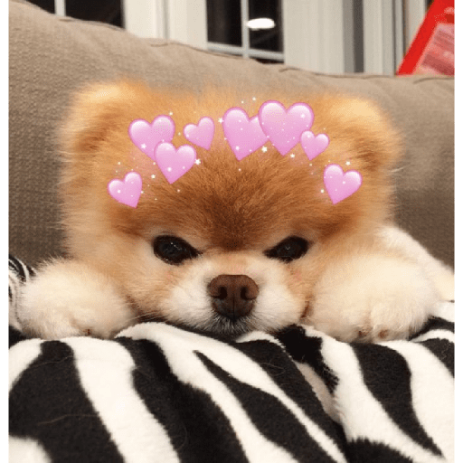 Figurinhas de Animais fofos para WhatsApp
