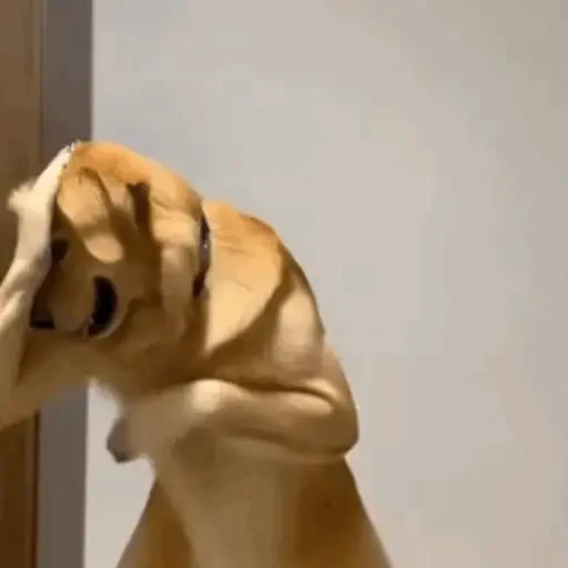 Figurinha de Animais IA (5 de 15)