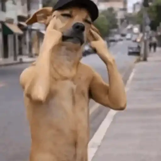 Figurinha de Animais IA (6 de 15)