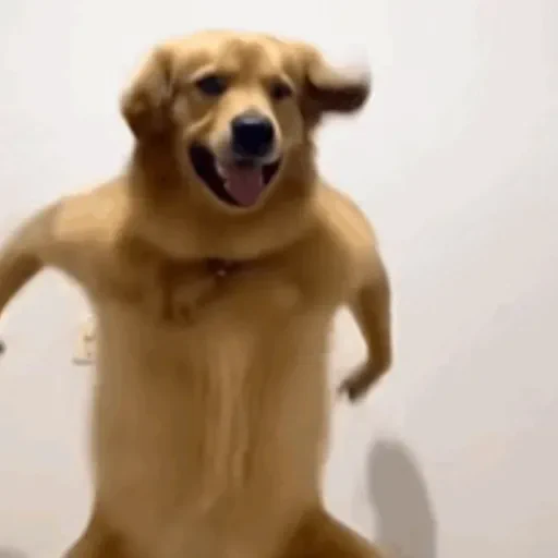 Figurinha de Animais IA (7 de 15)