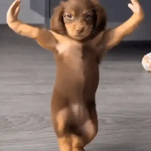 Figurinha de Animais IA (9 de 15)