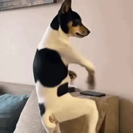 Figurinha de Animais IA (14 de 15)