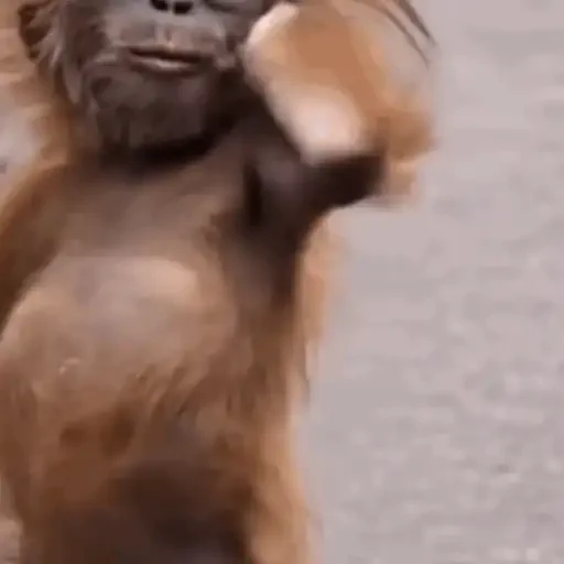 Figurinha de Animais IA (15 de 15)