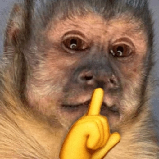Figurinha de ANIMAIS REAÇÕES (2 de 15)