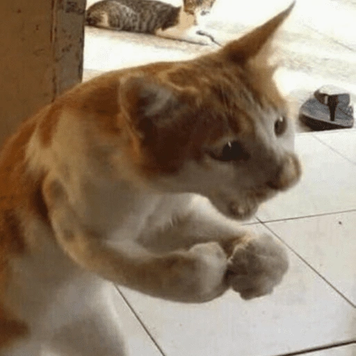 Figurinha de ANIMAIS REAÇÕES (8 de 15)