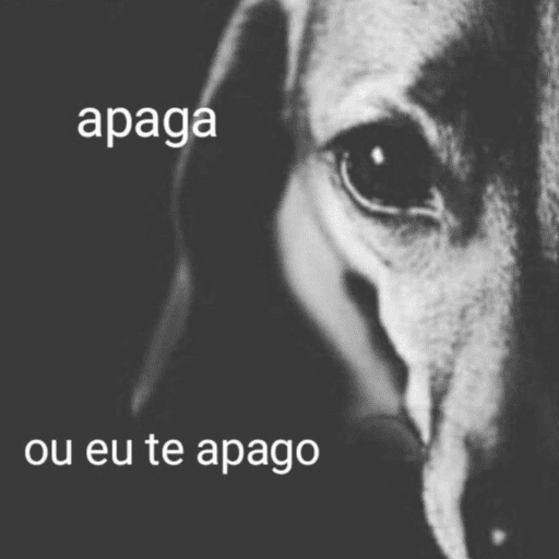 Figurinhas de ANIMAIS REAÇÕES para WhatsApp