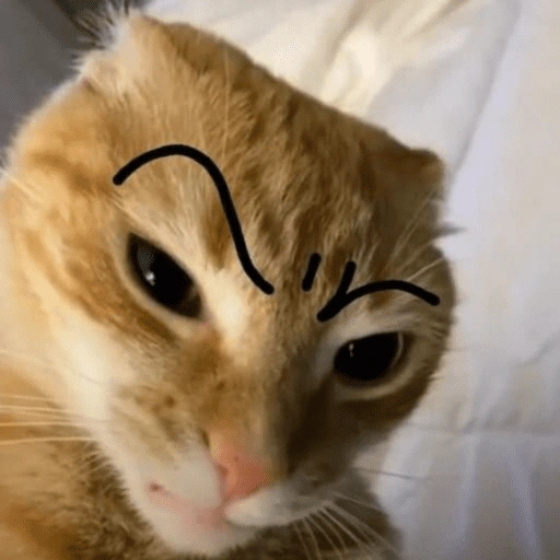 Figurinha de ANIMAIS 😆 para WhatsApp (1 de 15)