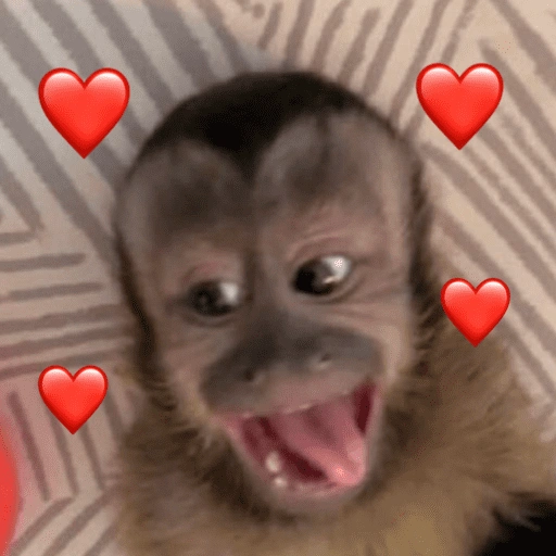Figurinha de ANIMAIS 😆 para WhatsApp (4 de 15)