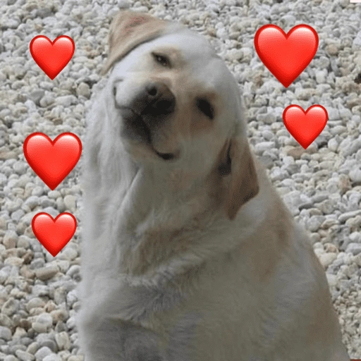 Figurinha de ANIMAIS 😆 para WhatsApp (9 de 15)