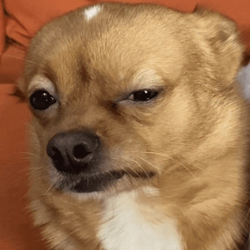 Figurinha de ANIMAIS 😆 para WhatsApp (11 de 15)