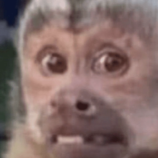 Figurinha de ANIMAIS 😆 para WhatsApp (13 de 15)