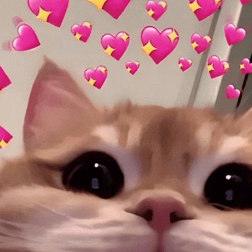 Figurinha de APENAS AMOR 💖 para WhatsApp (13 de 15)