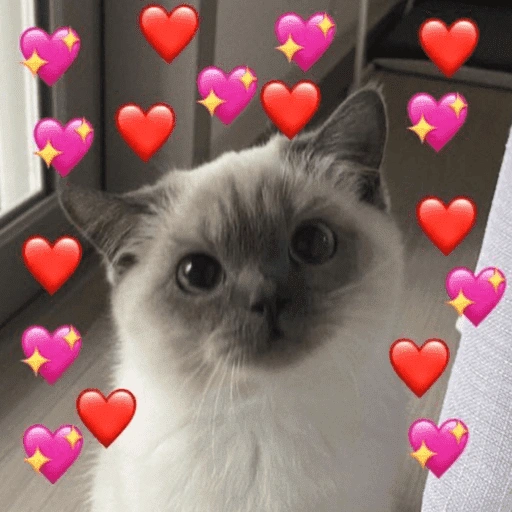 Figurinha de APENAS AMOR 💖 para WhatsApp (14 de 15)