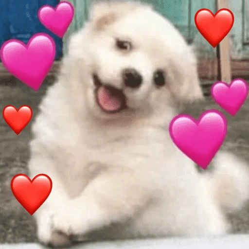 Figurinha de APENAS AMOR 💖 para WhatsApp (15 de 15)