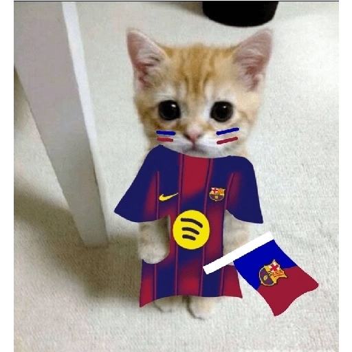 Figurinha de BARCELONA❤️💙 para WhatsApp (1 de 30)